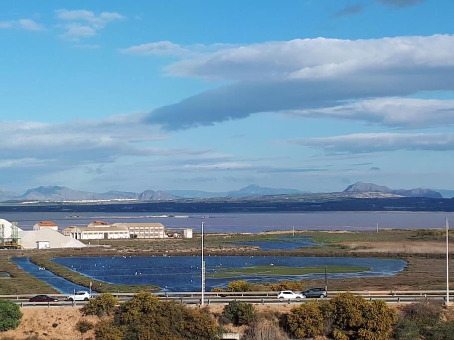 Apartament Flamingo Z Basenem Torrevieja Exterior foto