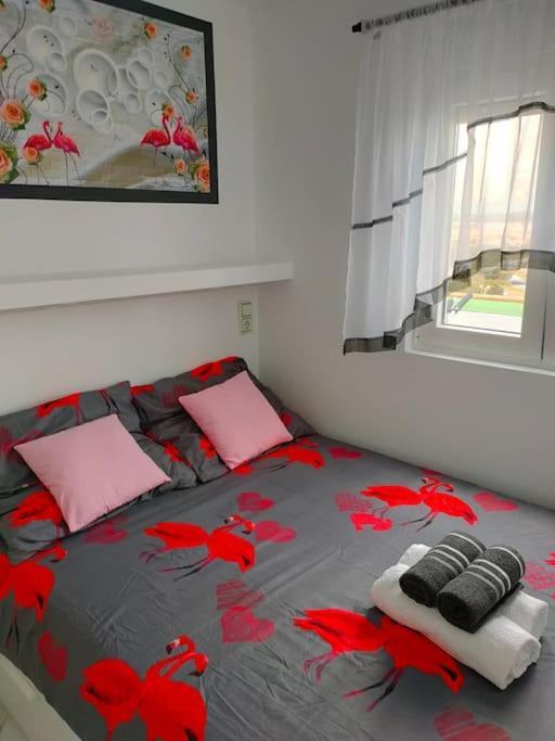 Apartament Flamingo Z Basenem Torrevieja Exterior foto