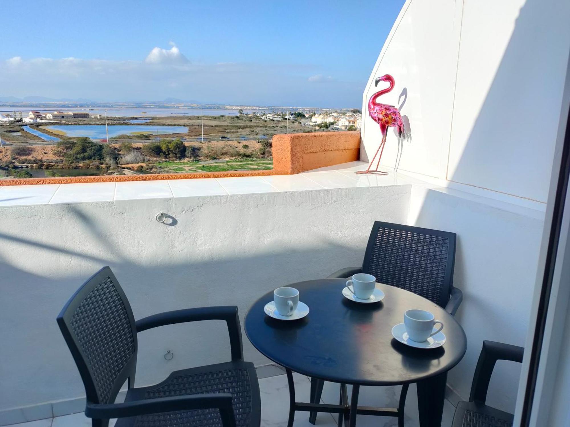 Apartament Flamingo Z Basenem Torrevieja Exterior foto